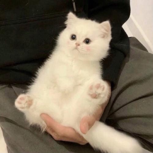 Lê Phương Mai avatar