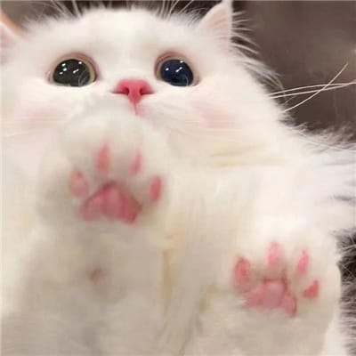 Phạm Đình Chiểu avatar